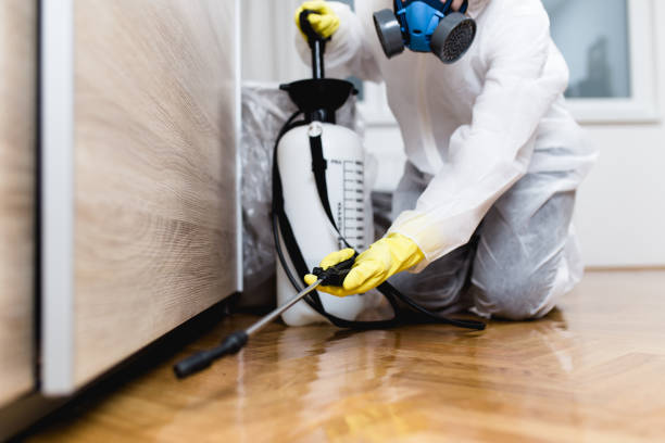 Best Mosquito Control Services  in Ellitt, CO