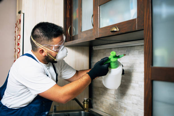 Best Affordable Pest Control Services  in Ellitt, CO