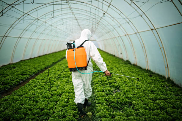 Best Pest Control Cost  in Ellitt, CO