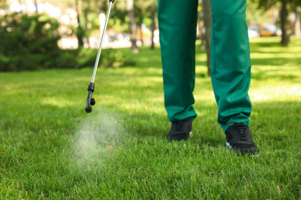 Best Best Pest Control Companies  in Ellitt, CO