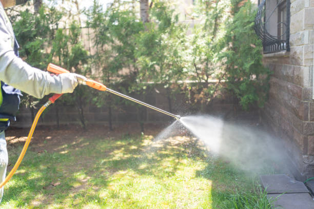 Best Bed Bug Extermination  in Ellitt, CO